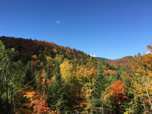 Val-des-Lacs Bed & Breakfast | Loft Nature Laurentides