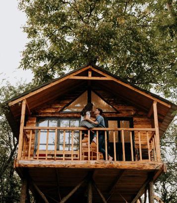 Pesteana Other | Loft Treehouse