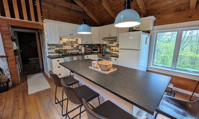 Denver Cabin | Log cabin Close to skiing, hiking, shopping and dining!