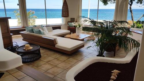 Playa Honda Villa | Loro Verde