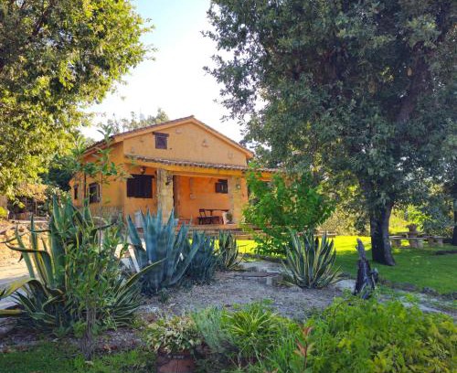Candeleda House | LOS TASAJILLOS, Vivienda de uso Turístico