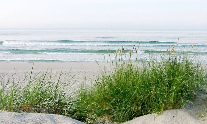 Neddesitz Apartment | Lots of nature, idyllic surroundings, quiet location - Ferienpark Neddesitz FeWo 48 -