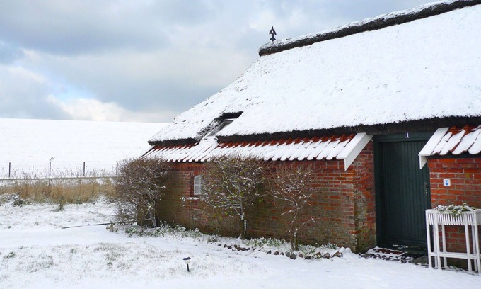 North Sea Coast House | Lovely apartment in villa for 4 guests with WIFI, TV, terrace, pets allowed and parking