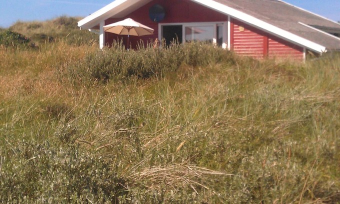 Lild Strand Cottage | Lovely wooden house in a beautiful location - close to the beach, dunes and forest