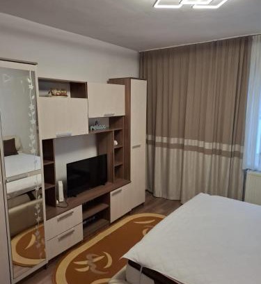 Lupeni Apartment | Luca&Sophia