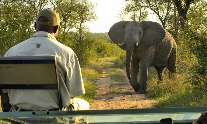 Buffelspruit Cabin | Lukimbi Safari Lodge