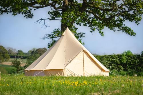 Church Minshull Other | Luxury Glamping Bell Tent - Cheshire Countryside