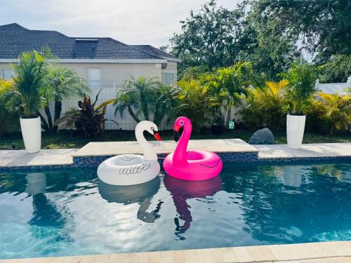 Sabal Harbour House | Luxury Home W Heated PoolNear IMG & Siesta Key Beach