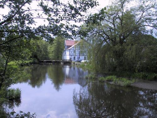 Uelzen Apartment | Mühlenteich in der Oldenstädter Wassermühle