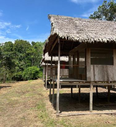 Saquena Other | Macaw Adventures Lodge
