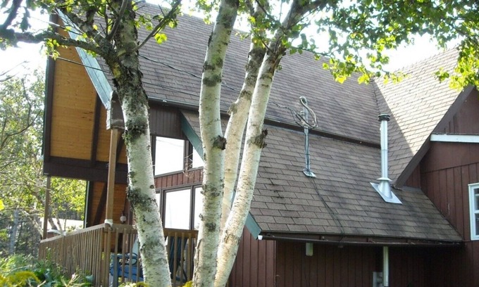 Margaretsville Cottage | Maggie Bay Estate holidays - Margaretsville