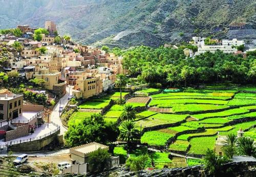 Wadi Bani Kharus Hotel | Mahalli Balad Sayt Heritage Inn