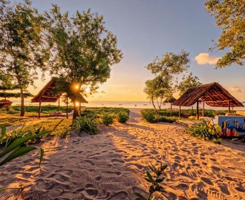 Mafia Island Hotel | Maisara Mafia Beach Lodge