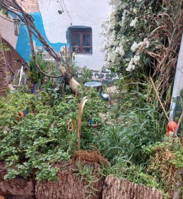 Ait Boukha House | Maison diyafa