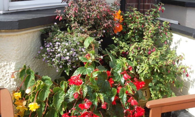 Great Yarmouth House | Maluth Lodge