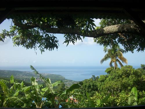 Bouillante House | mango tree lodge