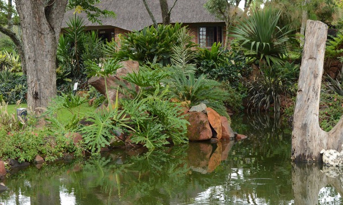Harare Cabin | Manna Resorts