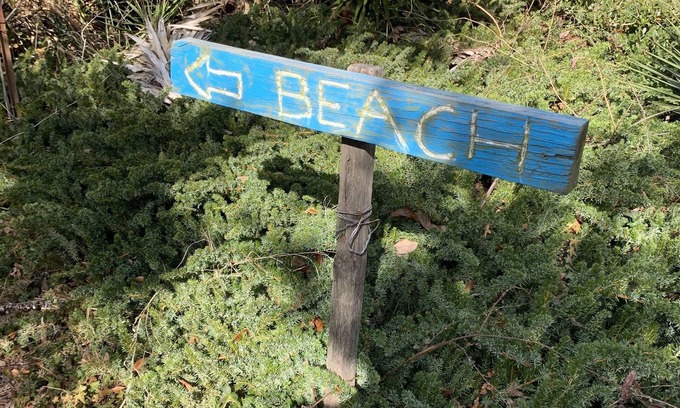 Willoughby Spit Cottage | Manor and Mutts #1 - Beach Front, Pet Friendly, High Speed WiFi, Private