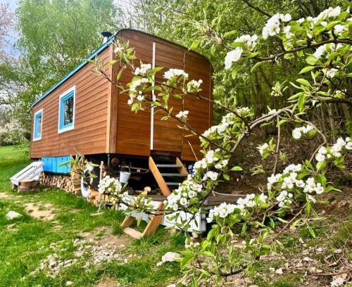 Brloh Other | Maringotka a ubytování PodNebesí