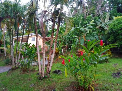 Le Lamentin House | Martinique La petite maison dans la Colline