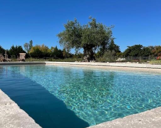 Althen-des-Paluds House | Mas l Oustau de Memei