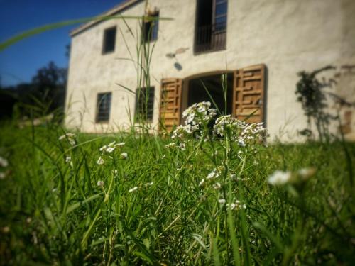Sant Cebria de Vallalta Ski Chalet | Masia Mediterranian Country House Ca l'Isidre Torrent