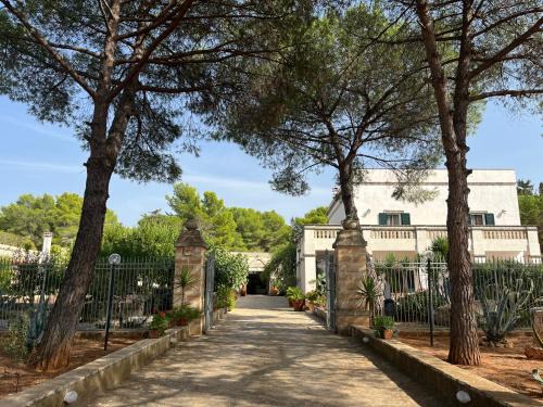 Sava Apartment | Masseria La Camardia