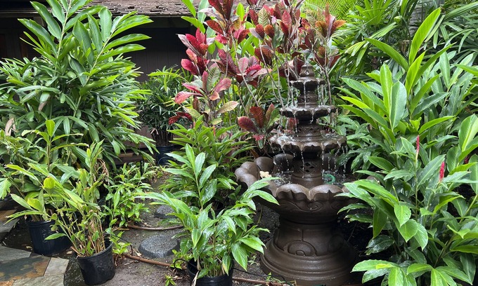 Kihei Bed & Breakfast | Maui What A Wonderful B&B Pineapple Ste