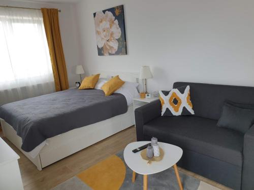 Tirgu Mures Apartment | Max Studio