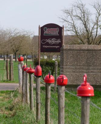 Mesch Bed & Breakfast | Meschermolen