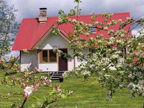 Polva County House | Mesikamäe Saunamaja