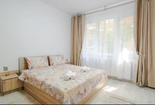 Sofia City Center Apartment | Miami 2BDR Central Apt near Vitosha BLVD w Wifi