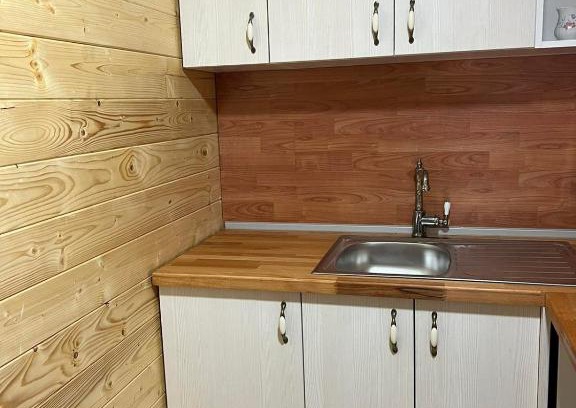 Stara Planina Villa | Milica 1