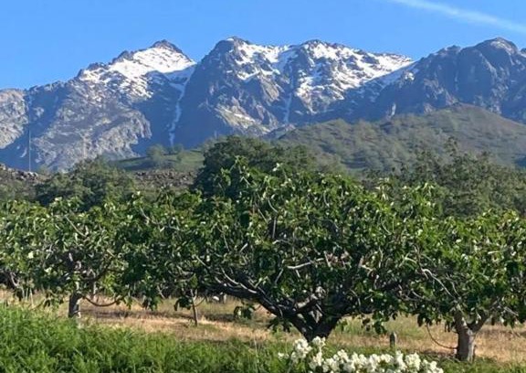 Candeleda House | MIRADA A GREDOS