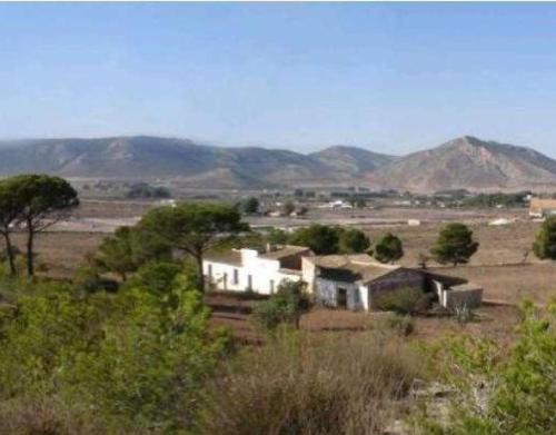 Villena House | Miramontes