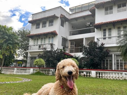 Bagong Lipunan Ng Crame Apartment | MiraNamin Nest KAMANTIGI Room in Unique Historic Home - Garden Access, Shared Kitchen, Pet Friendly with a Fee