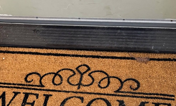 Westlake Apartment | Mission Victorian Apartment