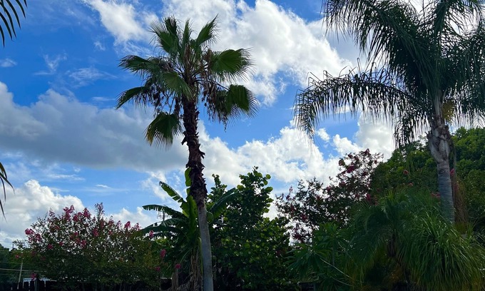 Conway House | Modern 3-Bedroom Oasis w/ a pool!