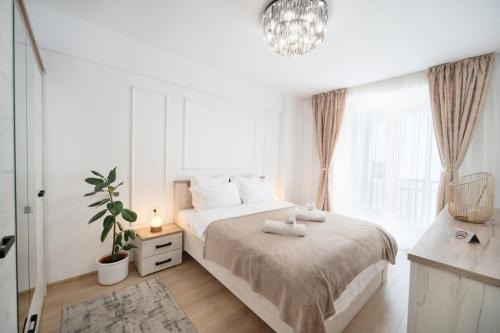 Timisoara Apartment | Modern Apartment with Free Private Parking in Timisoara