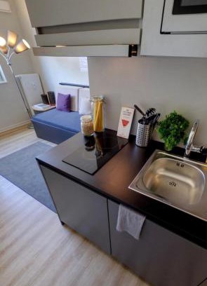 Kaiserslautern Apartment | modern Business Single Apartment