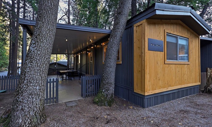 Dunsmuir Cabin | Modern Cabin (Walnut)