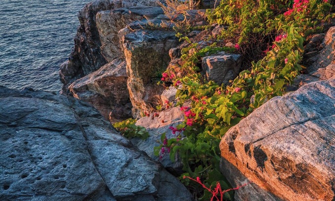 Pleasanton House | Modern design and a European soul in Pleasanton, CA