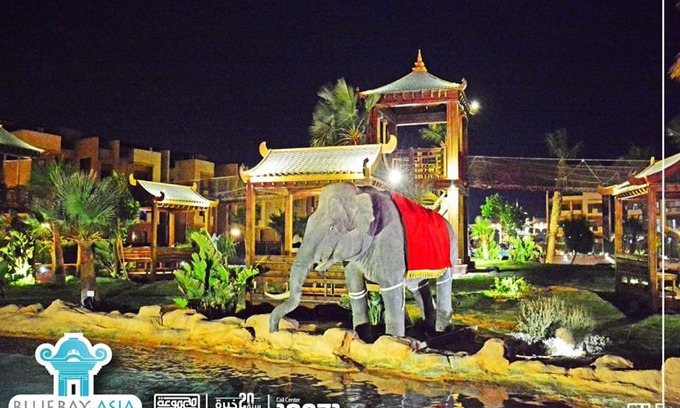 Zafarana Apartment | Mohamed Afifi BlueBay Asia - Families - Ground 2 Bed Rooms