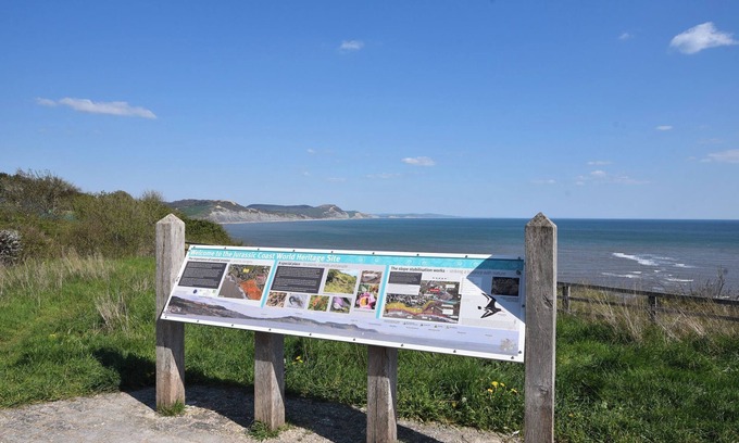 Lyme Regis Cottage | Moonbeam View