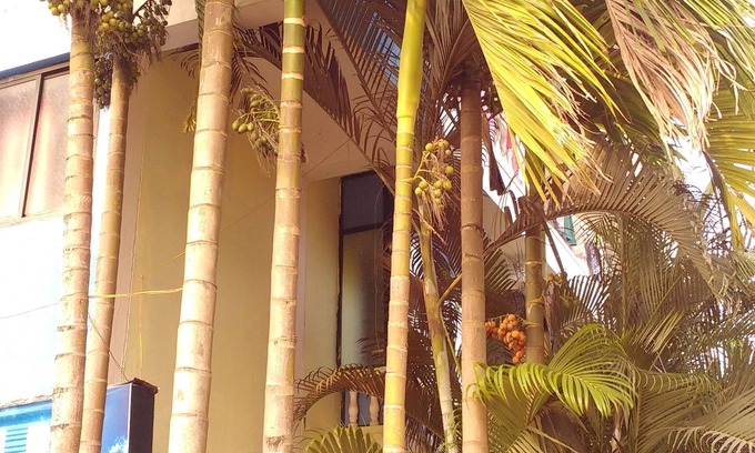 Morjim Hotel | Morjim Bay Resort