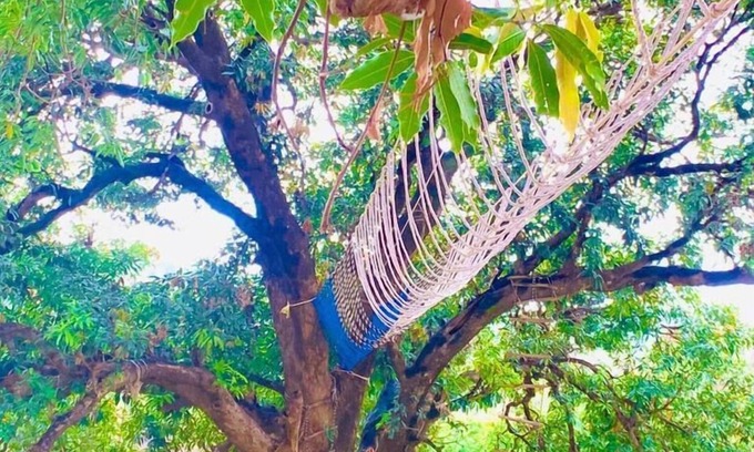 Kalka Hotel | Morni Hills Resort