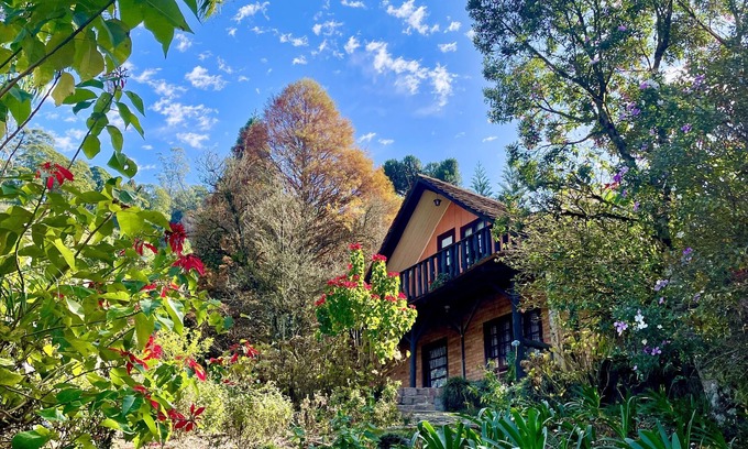 Timbo Cottage | Morro Azul Chalés