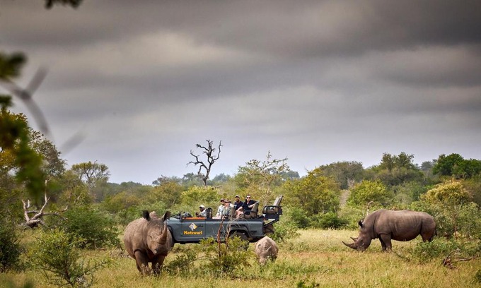 Kruger National Park Cabin | Motswari Private Game Reserve by NEWMARK
