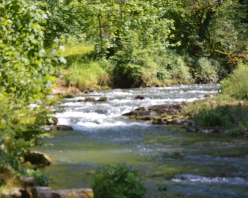 Cusance Bed & Breakfast | Moulin de la Cuse - Chambre La Cuse