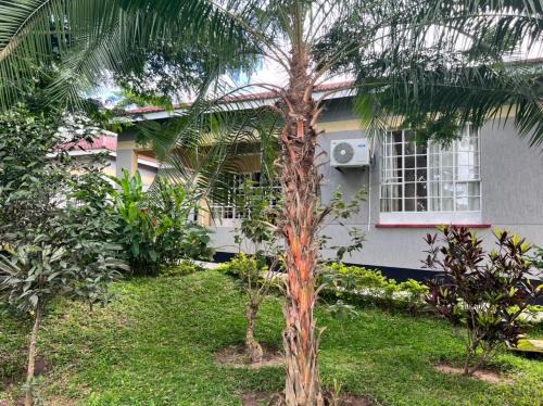 Mzuzu Bed & Breakfast | Mphiri Lodge